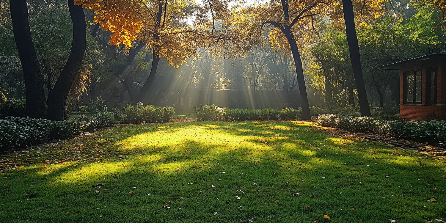 Ile czasu ukorzenia sie trawa z rolki?